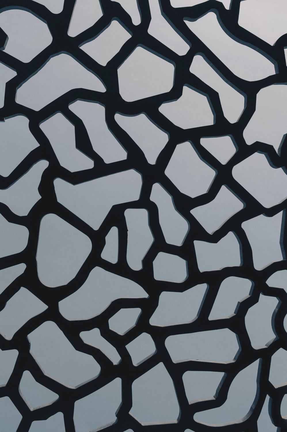 architectural detail from Mucem, organic shapes